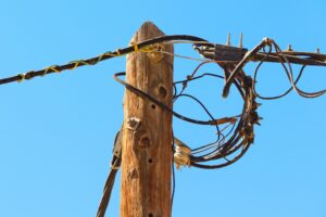 trees touching power lines