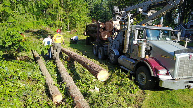 Spring Land Clearing & Logging: Prepare Your Property for a Fresh Start