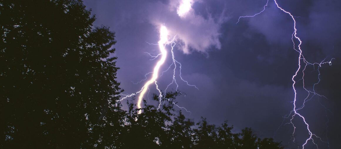 The Role of Emergency Tree Removal After a Storm