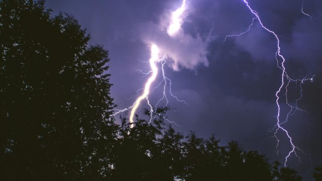 The Role of Emergency Tree Removal After a Storm